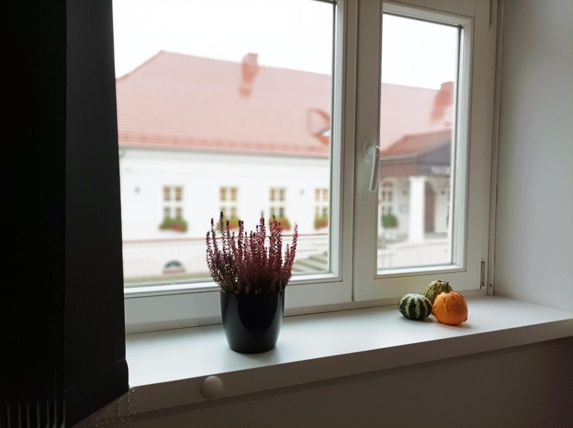 Pokoje Pod Palacem Koszecin Exteriér fotografie
